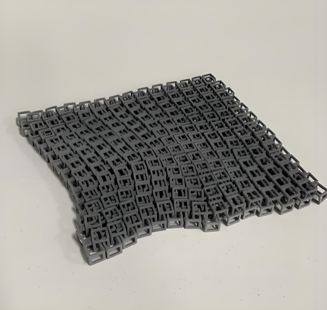 SLS Flexible Lattice Printing