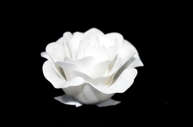 SLS Artistic Flower Printing